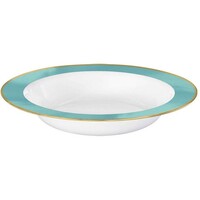 Premium Bowl 354ml White with Robin's Egg Blue Border 