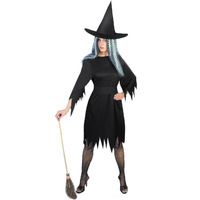 Spooky Witch Adult Costume Size: Medium