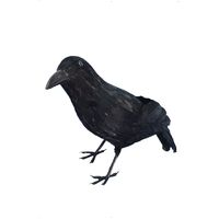 Black Feathered Crow Halloween Decoration Prop