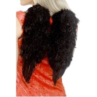 Angel Wings Black Feather