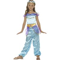 Arabian Princess Child Costume Size: Large