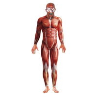 Anatomy Man Adult Costume Size: Large