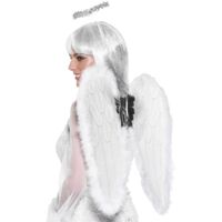 Angel Adult Costume Accessory Set
