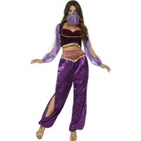 Arabian Princess Adult Costume Size: Medium