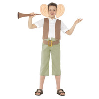 Roald Dahl The BFG Child Costume Size: Tween