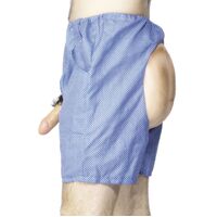 Bum and Willy Adult Shorts
