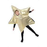 Christmas Star Child Costume Size: Small