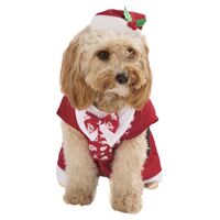 Aussie Christmas Dog Costume Size: One Size