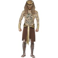 Zombie Pharaoh Adult Costume Size: Large