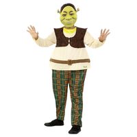 Shrek Deluxe Child Costume Size: Large