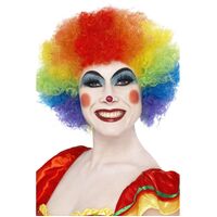 Afro Rainbow Crazy Clown Wig