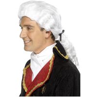 Court Wig Costume Accessory