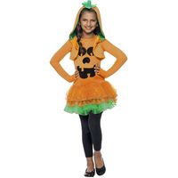 Pumpkin Tutu Dress Child Costume Size: Large