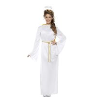 Angel Gabriel Unisex Adult Costume Size: Small - Medium