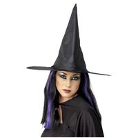 Witches Hat Shiny Fabric Costume Accessory