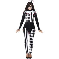 Female Jester Adult Costume Size: Small