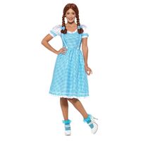 The Wizard Of Oz Dorothy Kansas Country Girl Adult Costume Size: Large