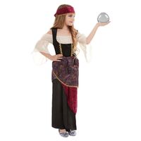 Fortune Teller Deluxe Child Costume Size: Large