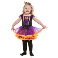 Pumpkin Witch Toddler Costume Size: Toddler Medium