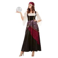 Fortune Teller Deluxe Adult Costume Size: Large