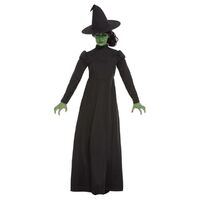 Wicked Witch Adult Costume Size: Large
