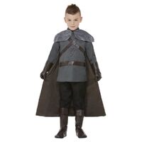 Medieval Lord Deluxe Child Costume Size: Large