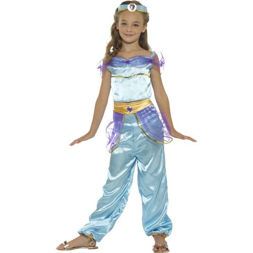 Arabian Princess Child Costume Size: Large