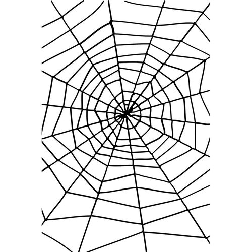 Giant Spider Web with Black Spider