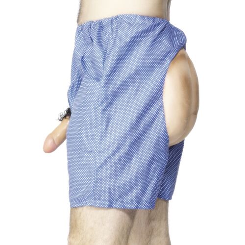 Bum and Willy Adult Novelty Costume Shorts 