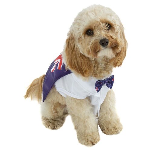 Aussie Flag Pet Costume Size: One Size
