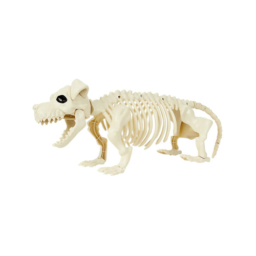 Dachshund Dog Skeleton Halloween Prop