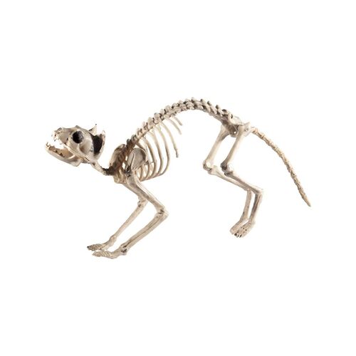 Cat Skeleton Halloween Prop Decoration